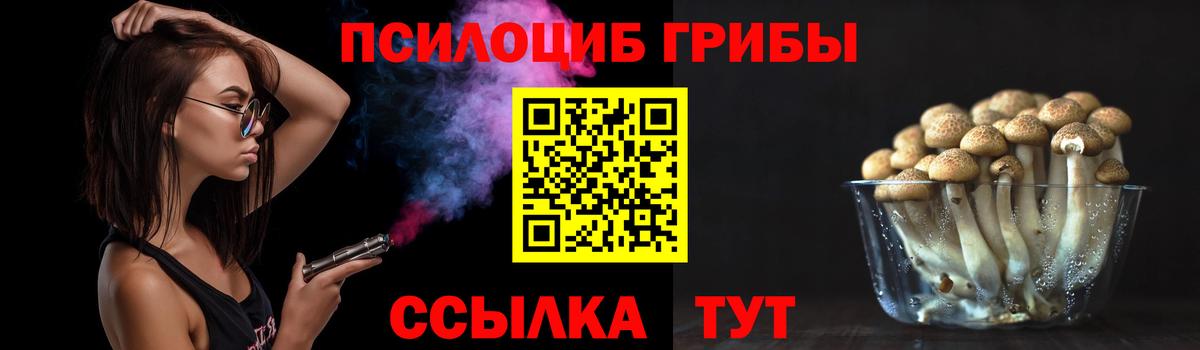 Псилоцибиновые грибы Magic Shrooms  Вход с VPN  Тосно 